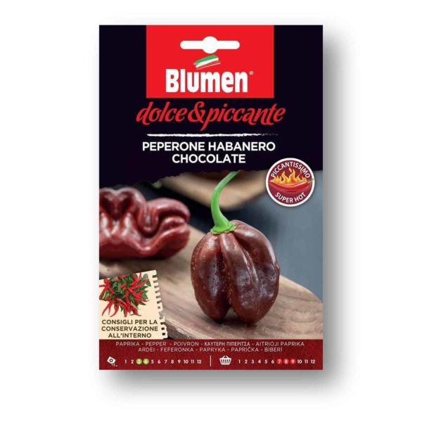 Πιπεράκι Καυτερό Habanero Chocolate Σπόρος | 1 τμχ