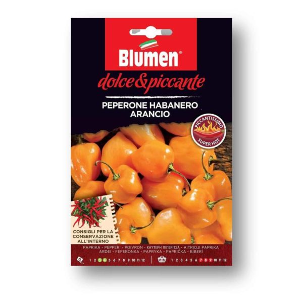 Καυτερή Πιπεριά Habanero Arancio Σπόρος | 1 τμχ