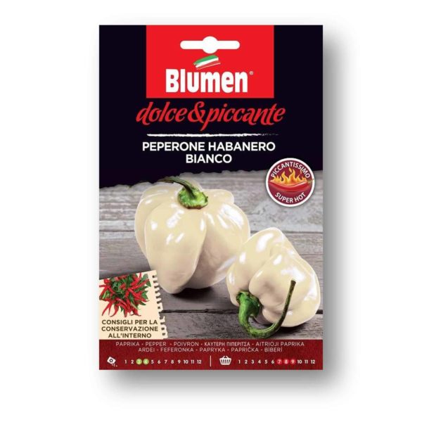 Καυτερή Πιπεριά Habanero Bianco Σπόρος | 1 τμχ