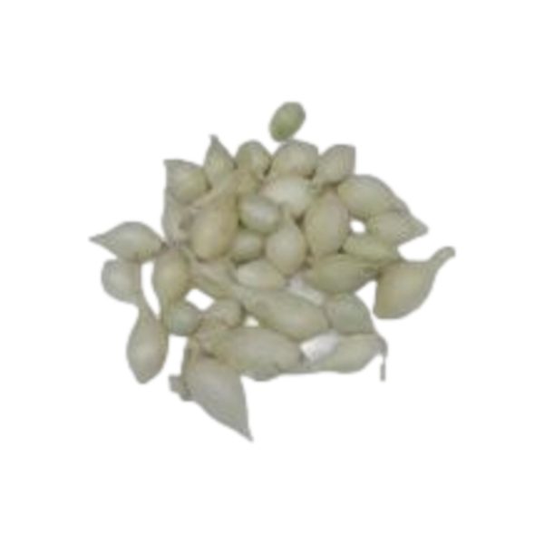 Κοκκάρι Άσπρο Snowball 14/21mm | 1kg