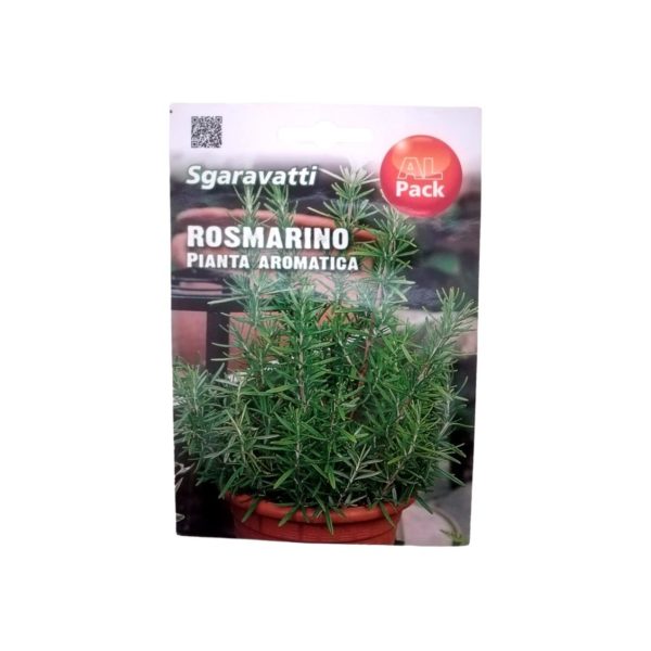 Δενδρολίβανο-Pianta-Aromatica-Σπόρος-e-geoprostasia.gr