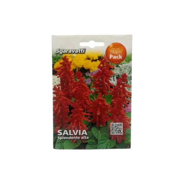 Φλόγα-Salvia-Σπόρος-e-geoprostasia.gr