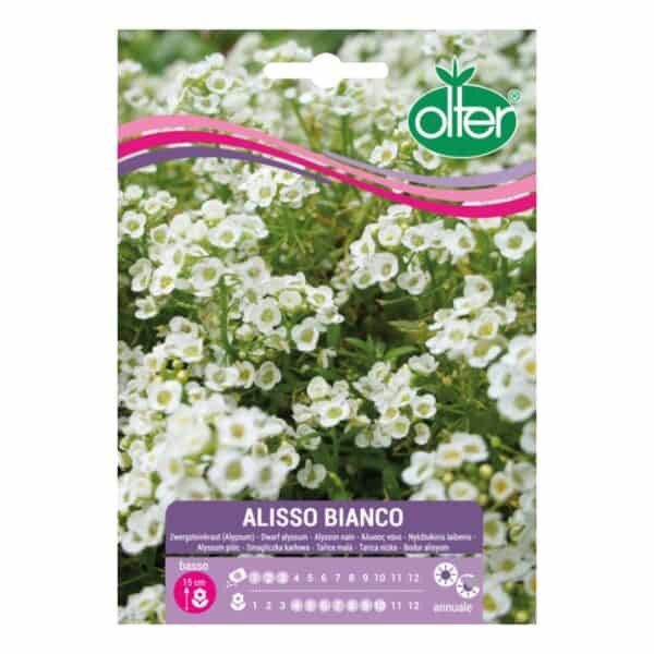 Άλυσος Νάνο Bianco Σπόρος | 1 τμχ