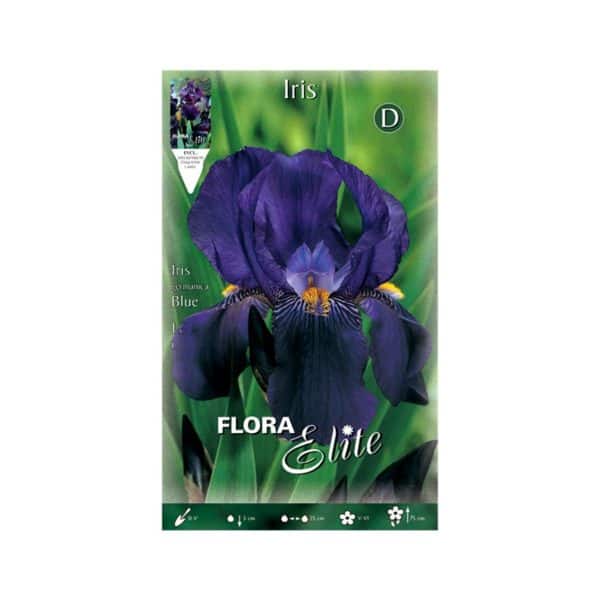 Ίριδα-Germanica-Blue-828874-e-geoprostasia.gr