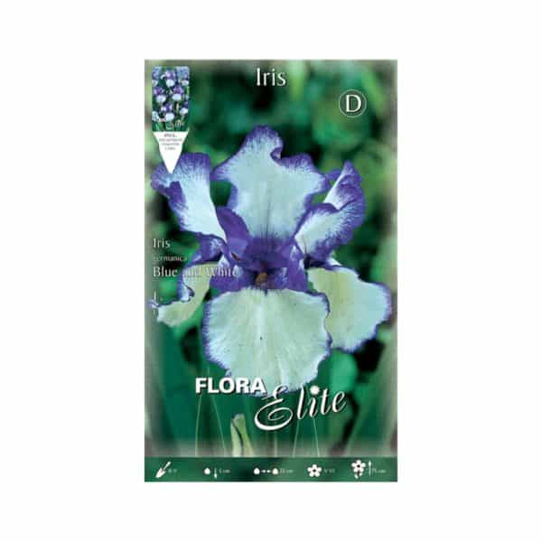 Ίριδα-Germanica-Blue-&-White-828881-e-geoprostasia.gr