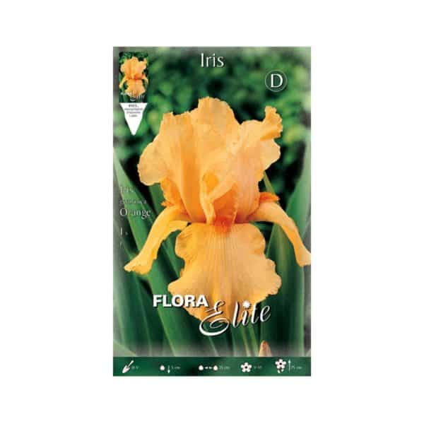 Ίριδα-Germanica-Orange-788857-e-geoprostasia.gr
