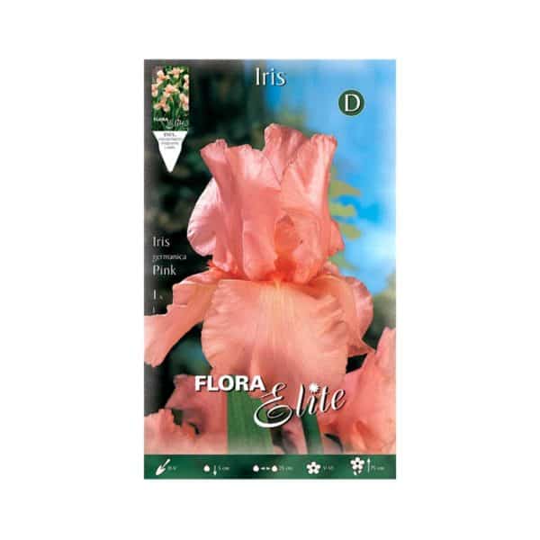 Ίριδα-Germanica-Pink-830273-e-geoprostasia.gr