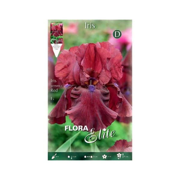 Ίριδα-Germanica-Red-788864-e-geoprostasia.gr