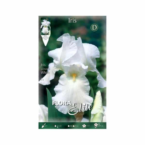 Ίριδα-Germanica-White-788871-e-geoprostasia.gr