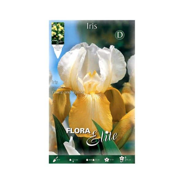Ίριδα-Germanica-White-&-Yellow-830624-e-geoprostasia.gr