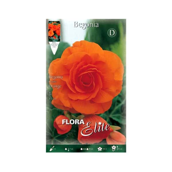 Βιγώνια-Double-Orange-807879-e-geoprostasia.gr