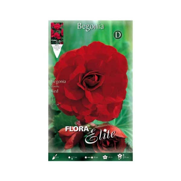 Βιγώνια-Double-Red-807176-e-geoprostasia.gr