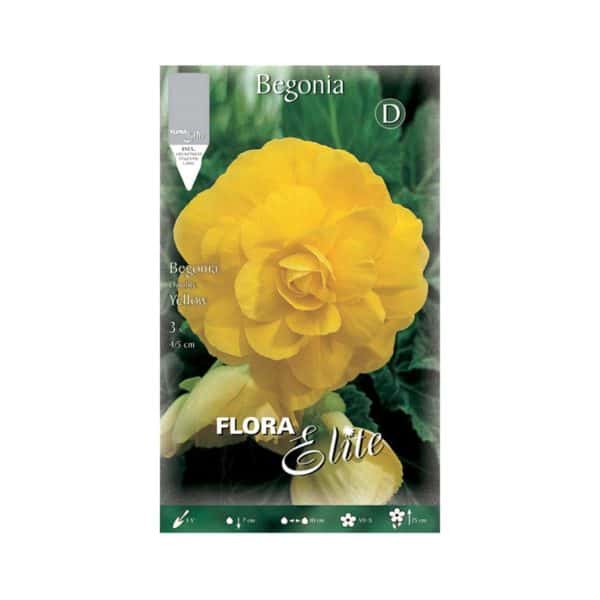 Βιγώνια-Double-Yellow-808227-e-geoprostasia.gr