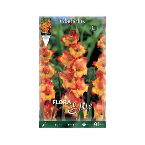 Γλαδιόλα-Princess-Margaret-Rose-740466-e-geoprostasia.gr