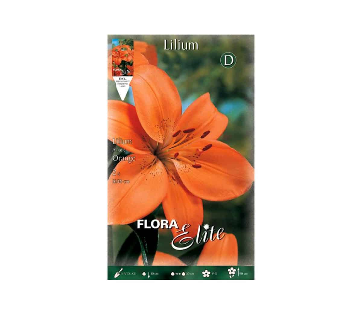 Λίλιουμ-Asiatic-Orange-840630-e-geoprostasia.gr