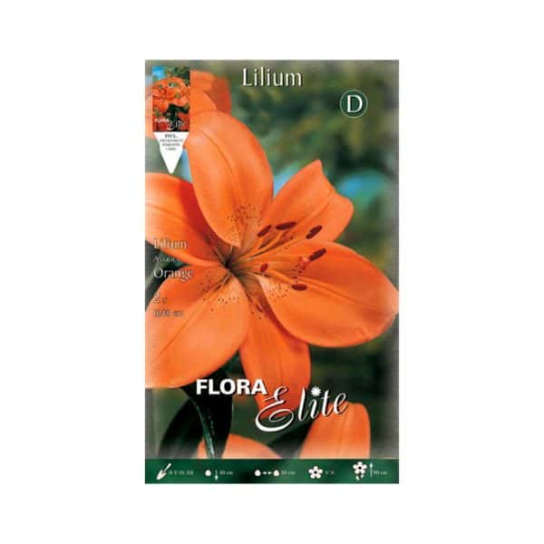 Λίλιουμ-Asiatic-Orange-840630-e-geoprostasia.gr