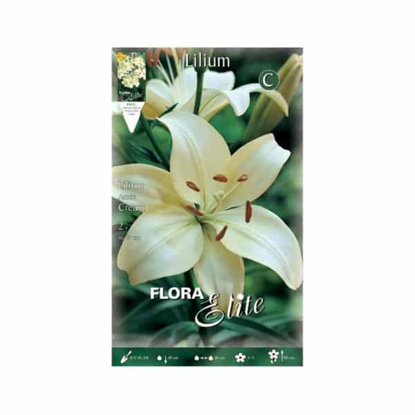 Λίλιουμ-Asiatic-White-841262-e-geoprostasia.gr