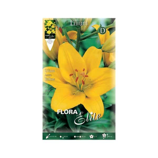 Λίλιουμ-Asiatic-Yellow-841330-e-geoprostasia.gr
