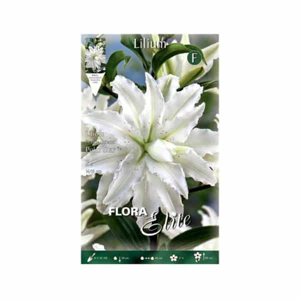 Λίλιουμ-Oriental-Double-Polar-Star-792137-e-geoprostasia.gr