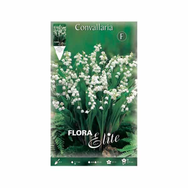 Μιγκέ-Convallaria-821172-e-geoprostasia.gr