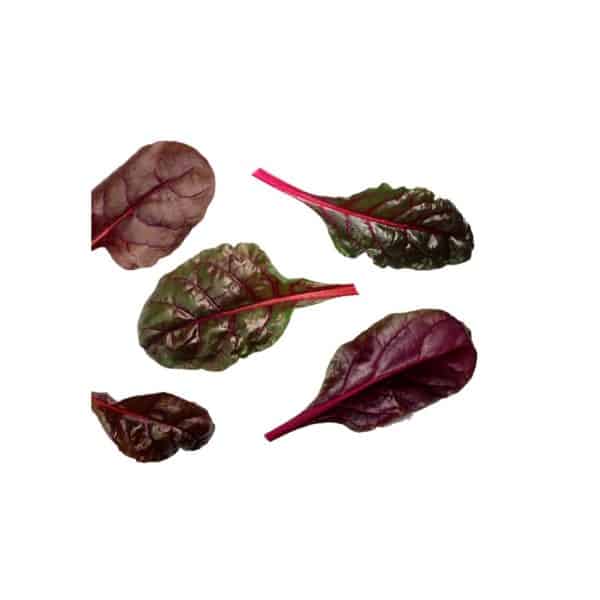 Παντζάρι-Beet-Bull's-Blood-10gr-e-geoprostasia.gr
