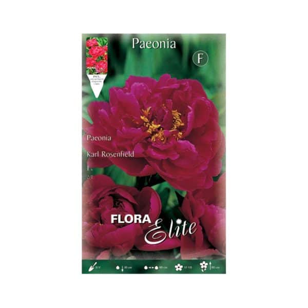 Πεόνια-Karl-Rosenfield-846021-e-geoprostasia.gr
