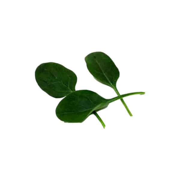 Σπανάκι-Baby-Leaf-10gr-e-geoprostasia.gr