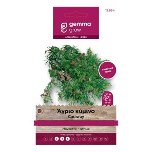 Άγριο Κύμινο Σπόρος | 1 τμχ