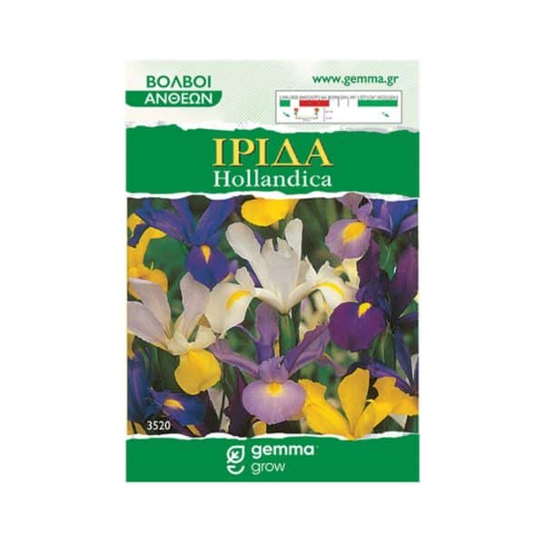 Ίριδα Hollandica Μίγμα Φάκελος 3520-e-geoprostasia.gr