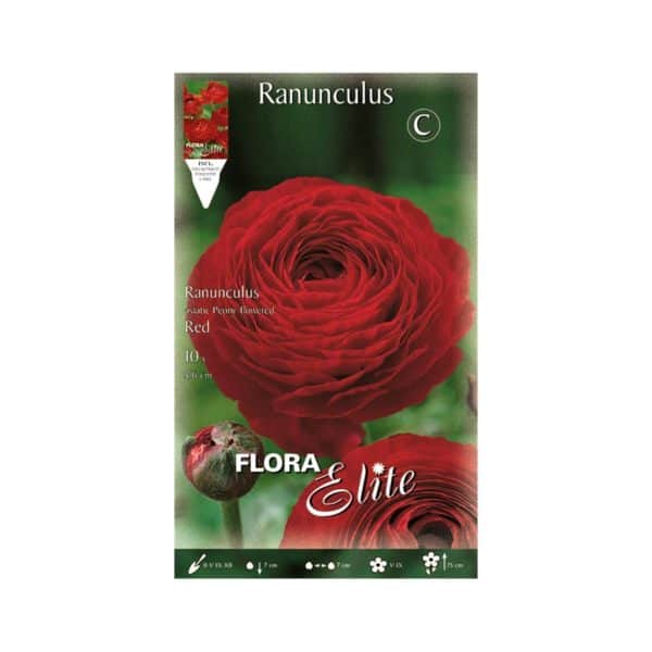 Νεραγκούλα Asiatic Red Φάκελος 517532-e-geoprostasia.gr