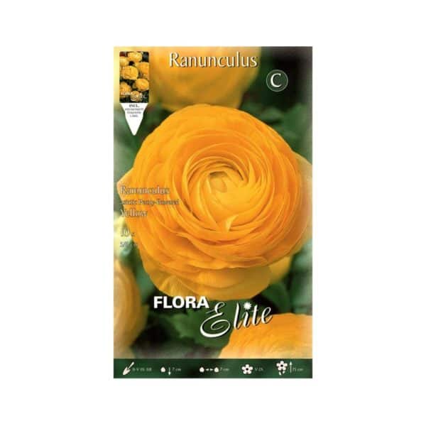 Νεραγκούλα Asiatic Yellow Φάκελος 517679-e-geoprostasia.gr