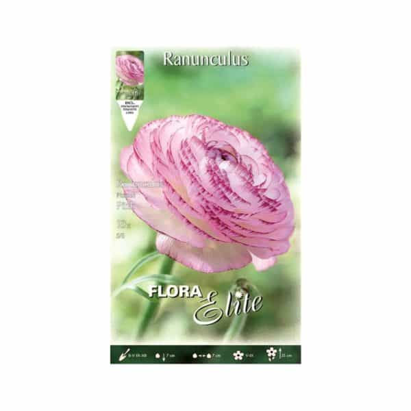 Νεραγκούλα Picotee Pink Φάκελος 792182-e-geoprostasia.gr