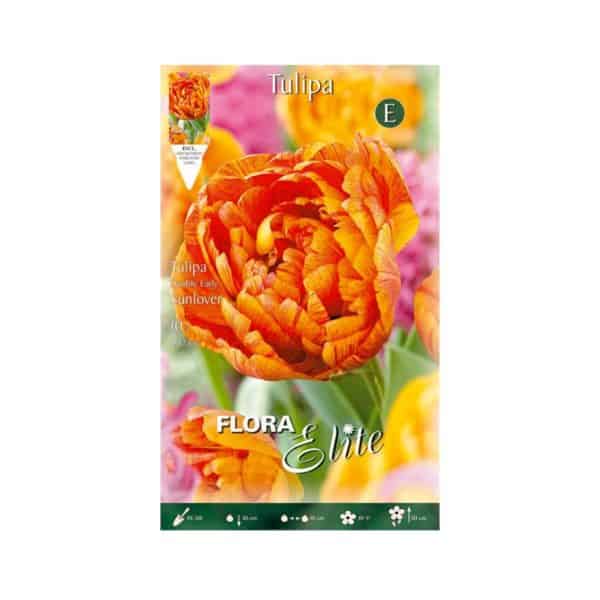 Τουλίπα Double Early Sunlover Φάκελος 803949-e-geoprostasia.gr