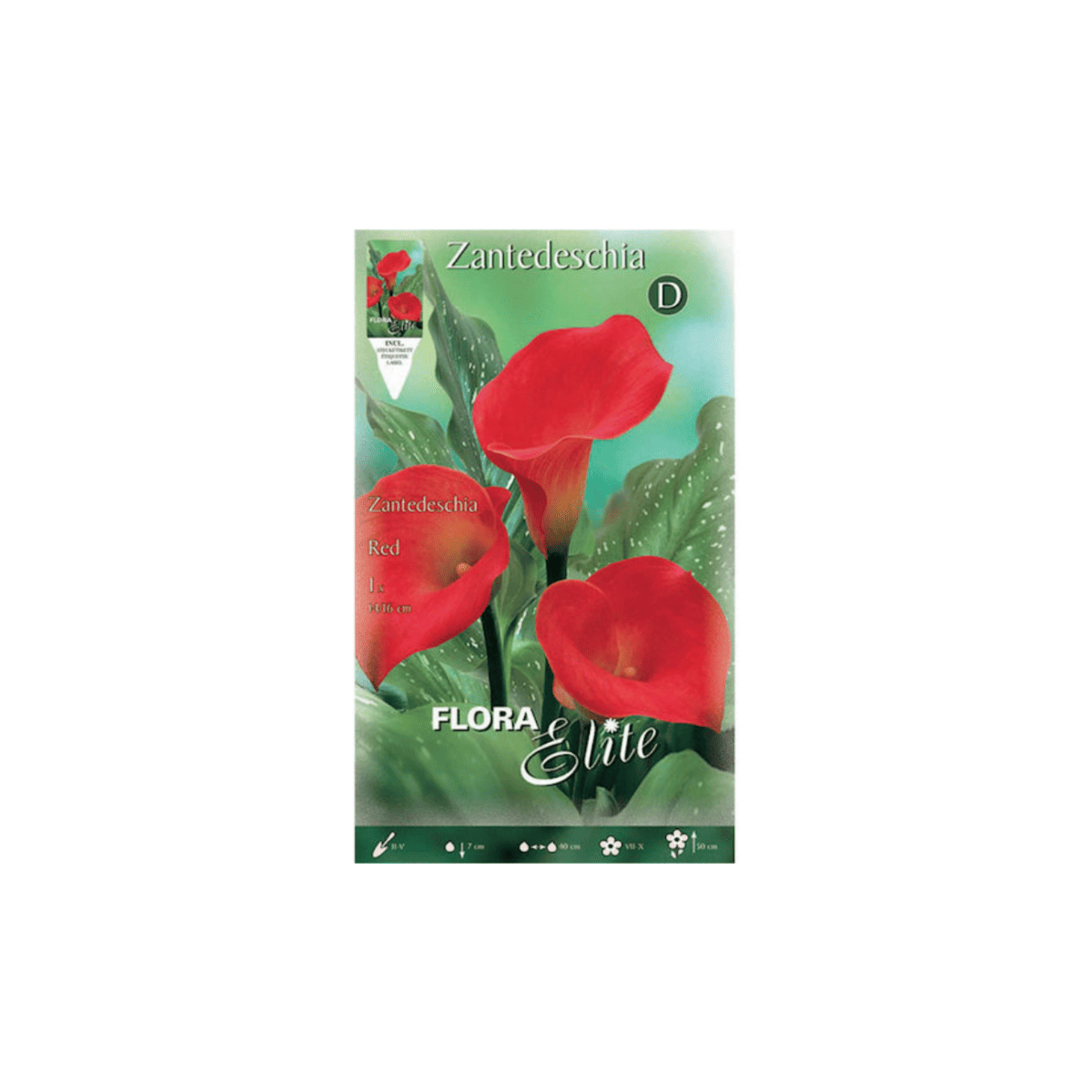 Κάλλα Red 816130 | 1 τμχ